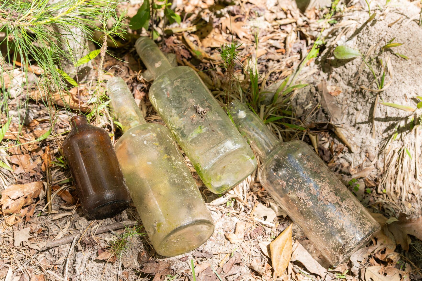 Honey Hill bottles.jpg